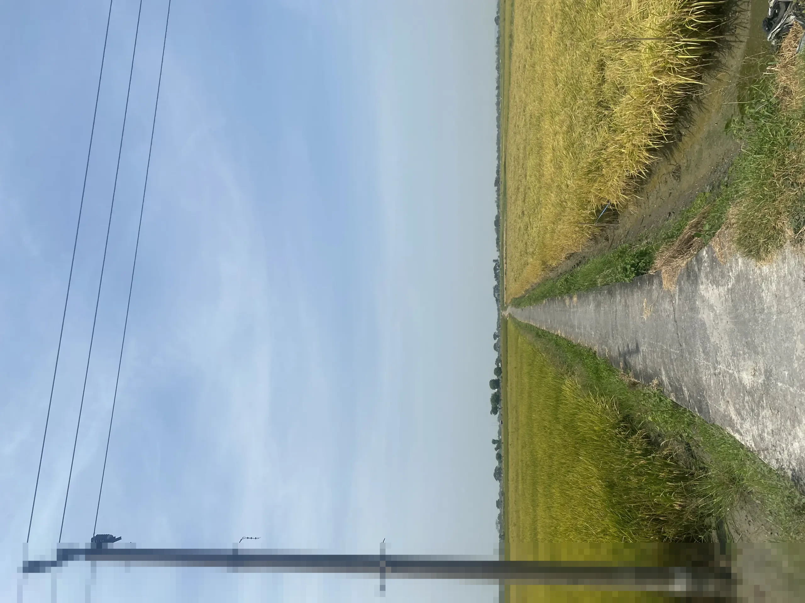 Potensi Besar Budidaya Udang Windu: Panduan Lengkap dari Persiapan Kolam hingga Strategi Pemasaran Efisien Potensi Besar Budidaya Udang Windu: Panduan Lengkap dari Persiapan Kolam hingga Strategi Pemasaran Efisien