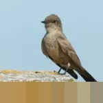 Presiden AS Donald Trump: “Saya Tidak Membutuhkan Hukum Internasional, Hanya Moralitas Saya”