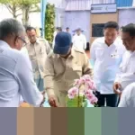 Presiden Prabowo Dorong Percepatan Hilirisasi Gambir, Ungkap Potensi Ekonomi Global yang Besar