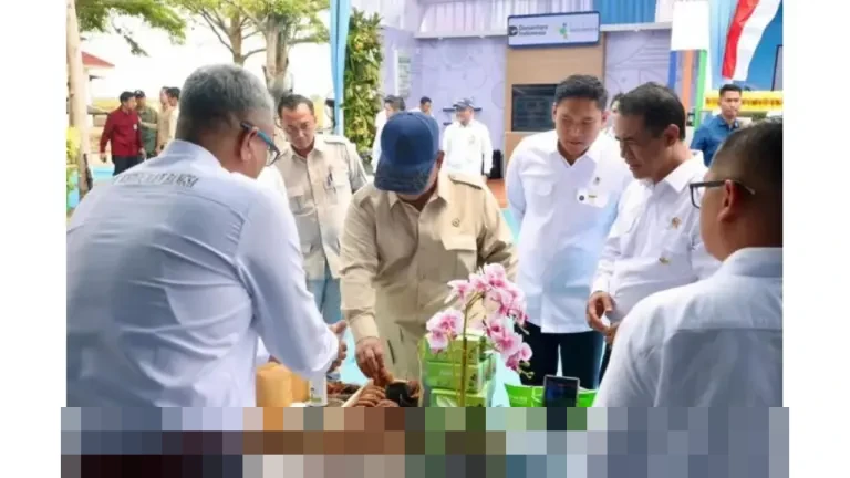 Presiden Prabowo Dorong Percepatan Hilirisasi Gambir, Ungkap Potensi Ekonomi Global yang Besar Presiden Prabowo Dorong Percepatan Hilirisasi Gambir, Ungkap Potensi Ekonomi Global yang Besar