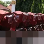 Presiden Prabowo Salurkan 100 Becak Listrik di Tuban, Lansia Penarik Becak Bersukacita