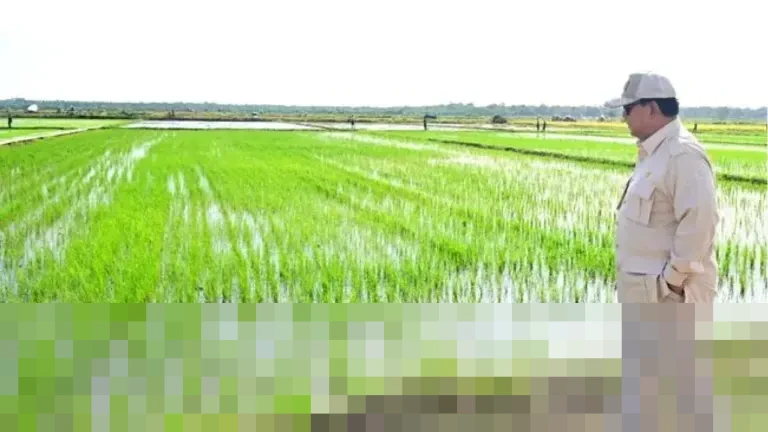 Presiden Prabowo Subianto Deklarasikan Swasembada Beras 2025 di Karawang, Dorong Teknologi Pertanian