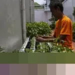 Program Ketahanan Pangan Lapas Libatkan 12.146 Napi, Raup Premi Rp 905 Juta hingga Akhir 2025