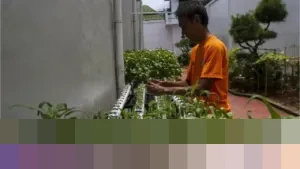 Program Ketahanan Pangan Lapas Libatkan 12.146 Napi, Raup Premi Rp 905 Juta hingga Akhir 2025