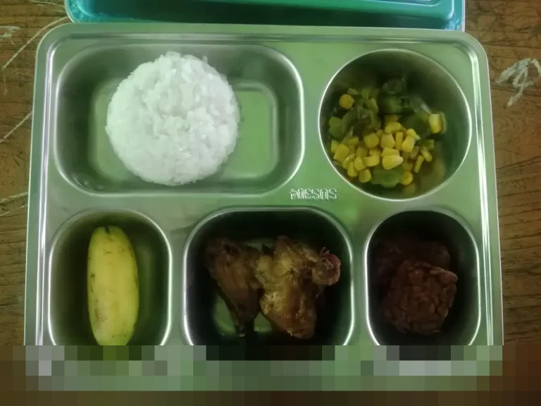 Program Makan Bergizi Gratis: Ancaman Kualitas Pendidikan di Balik Janji Gizi Program Makan Bergizi Gratis: Ancaman Kualitas Pendidikan di Balik Janji Gizi