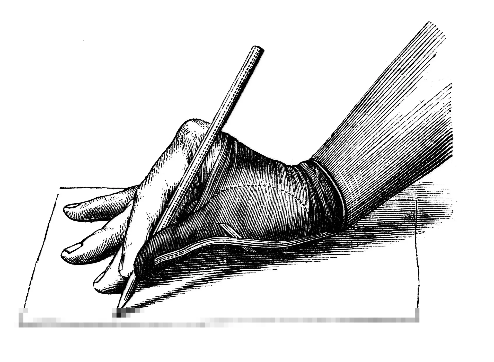 Protes Pengelolaan Sampah, Mahasiswa Buang Limbah di Halaman Kantor Wali Kota Tangsel