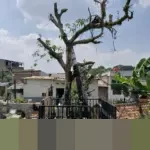 PSSI Jatuhkan Sanksi Seumur Hidup Usai Dua Insiden ‘Tendangan Kungfu’ Guncang Liga 4 dalam Sepekan