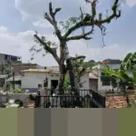 PSSI Larang Dwi Pilihanto Bermain Seumur Hidup Usai Tendang Kepala Lawan di Liga 4 DIY