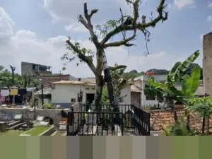 PSSI Sanksi Dua Pemain Liga 4 Seumur Hidup Usai Aksi Kekerasan di Lapangan