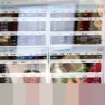 PT Abadi Lestari Indonesia Tbk (RLCO) Melonjak 24,92%, Bidik Ekspor Sarang Walet ke AS