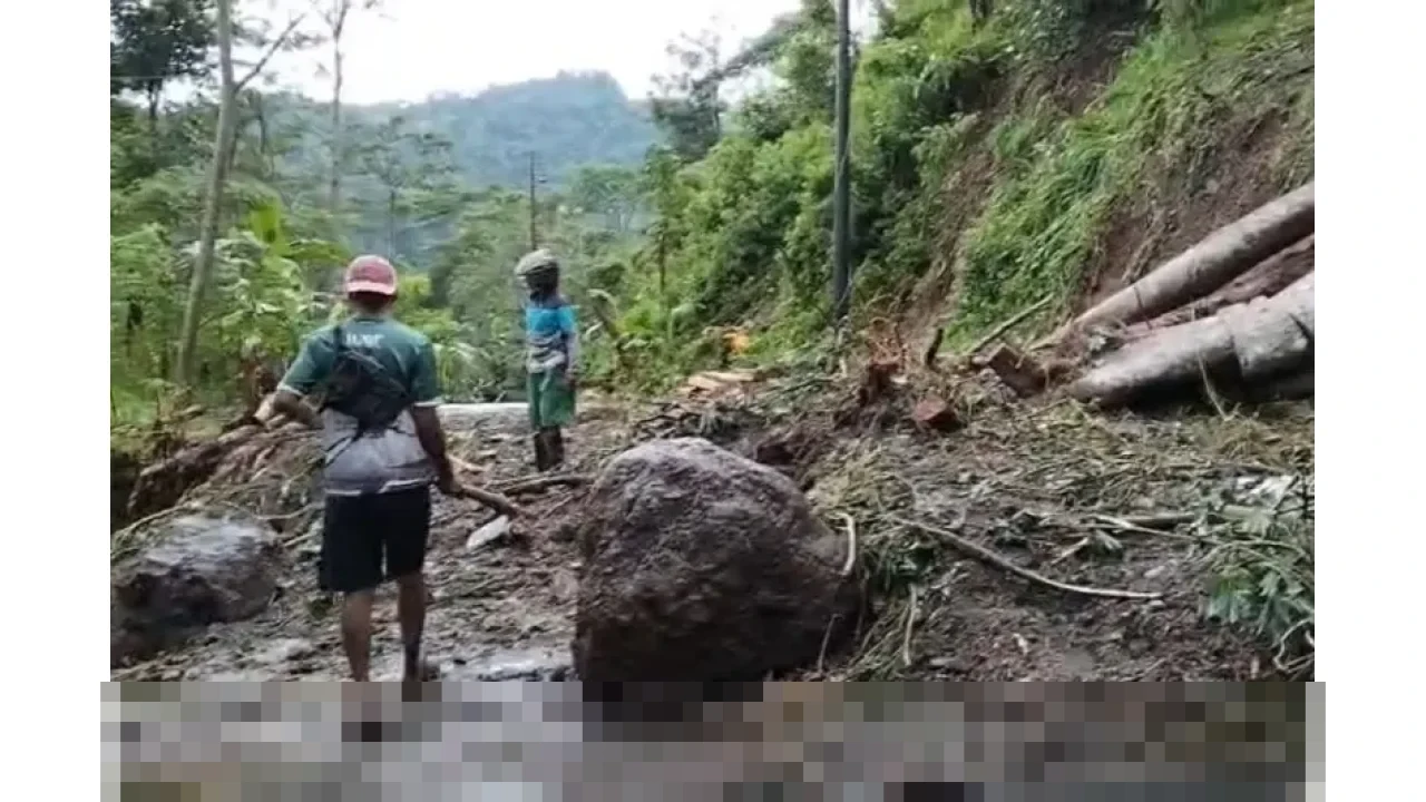 Puluhan Titik Longsor Tutup Akses Utama Desa Tempur Jepara, Badan Jalan Hanyut Tergerus Sungai