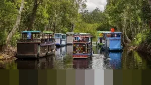 Puting Beliung Terjang Parkiran Terminal 1 Bandara Juanda Surabaya, Sejumlah Pohon Tumbang