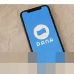 Rincian Biaya dan Panduan Lengkap Transfer Saldo BRI ke DANA via BRImo serta ATM