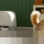 Roborock Luncurkan Empat Robot Vakum Terbaru di CES 2026, Termasuk Model Pendaki Tangga