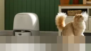 Roborock Luncurkan Empat Robot Vakum Terbaru di CES 2026, Termasuk Model Pendaki Tangga