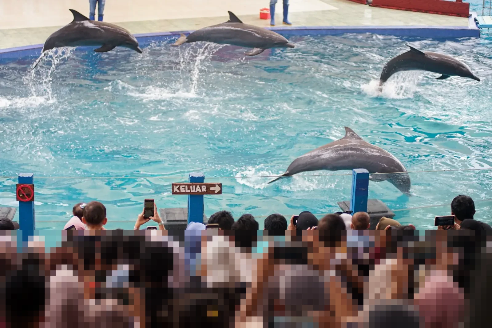 Safari Beach Jateng Diserbu 2.800 Wisatawan per Hari Selama Libur Nataru 2025/2026