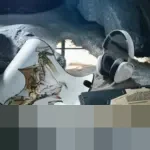 Sentuhan Magis Hideo Kojima pada ASUS ROG Flow Z13: Tablet Gaming Eksklusif di CES 2026