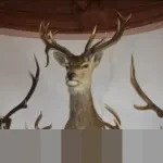 Simulasi Cicilan KUR BRI 2026 Pinjaman Rp 50 Juta: Angsuran Mulai Rp 1 Jutaan per Bulan