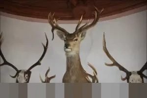 Simulasi Cicilan KUR BRI 2026 Pinjaman Rp 50 Juta: Angsuran Mulai Rp 1 Jutaan per Bulan