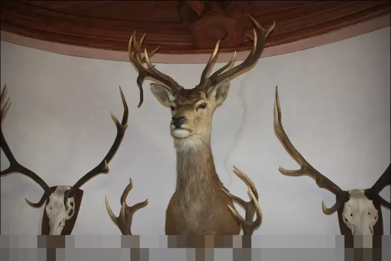 Simulasi Cicilan KUR BRI 2026 Pinjaman Rp 50 Juta: Angsuran Mulai Rp 1 Jutaan per Bulan