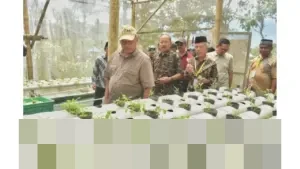 Sleman Perkuat Ketahanan Pangan: Girikerto Hadirkan Taman Edukatif Semar Ndalil Senilai Rp250 Juta