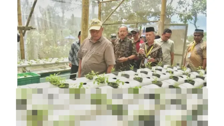 Sleman Perkuat Ketahanan Pangan: Girikerto Hadirkan Taman Edukatif Semar Ndalil Senilai Rp250 Juta
