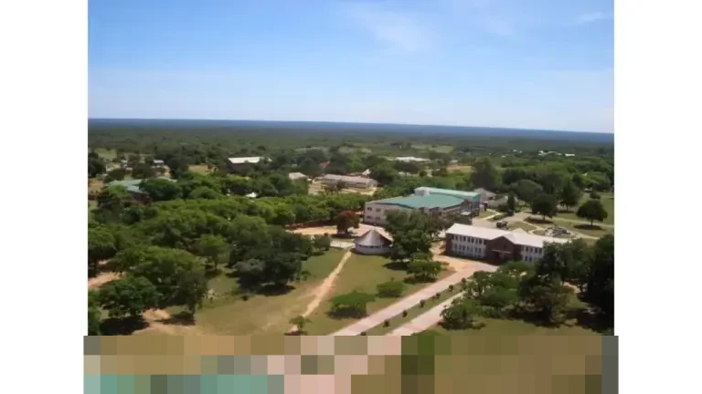 Solusi Jitu Bayar Pajak Kendaraan Bekas Tanpa KTP Pemilik Sebelumnya: Balik Nama Gratis!