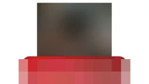 Somali Seas Shield (S3): Strategi Regional Komprehensif Atasi Ancaman Pembajakan di Somalia