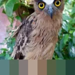 Sorotan Otomotif: Pengalaman Pemilik BMW 320i F30, Aturan SIM Internasional, hingga Sanksi Merokok Saat Nyetir