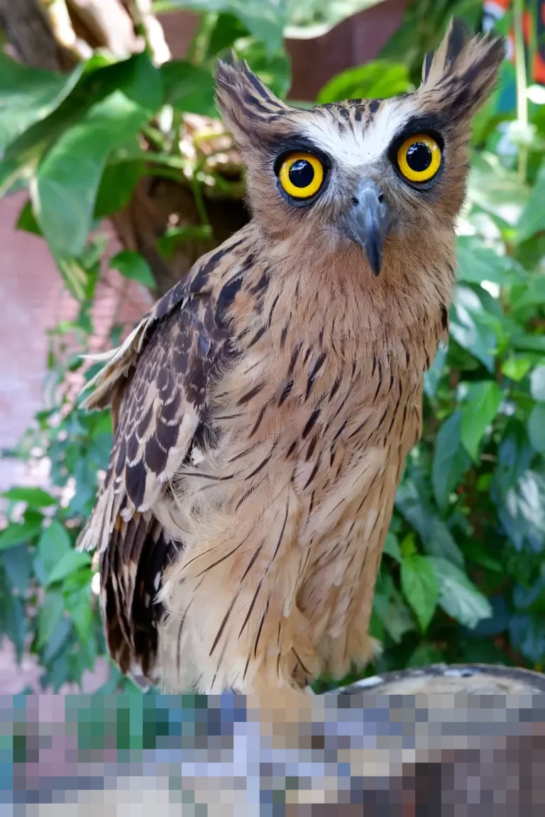 Sorotan Otomotif: Pengalaman Pemilik BMW 320i F30, Aturan SIM Internasional, hingga Sanksi Merokok Saat Nyetir