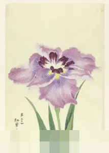 Suhuf dan Kitab: Mengurai Perbedaan Esensial Wahyu Allah serta Nabi Penerimanya dalam Sejarah Islam