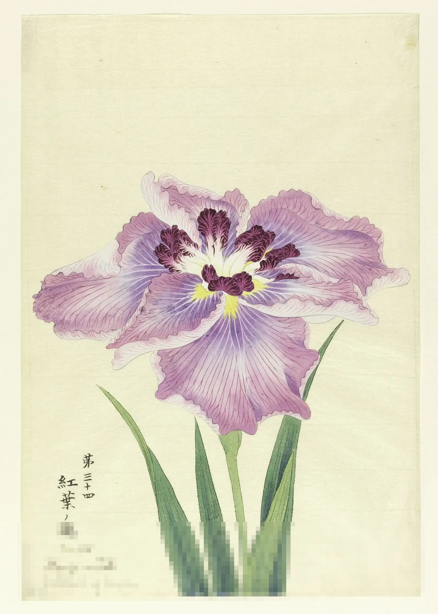 Suhuf dan Kitab: Mengurai Perbedaan Esensial Wahyu Allah serta Nabi Penerimanya dalam Sejarah Islam Suhuf dan Kitab: Mengurai Perbedaan Esensial Wahyu Allah serta Nabi Penerimanya dalam Sejarah Islam