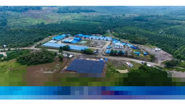 SUN Energy Pastikan Transformasi Industri Rendah Karbon Jadi Kunci Daya Saing Global SUN Energy Pastikan Transformasi Industri Rendah Karbon Jadi Kunci Daya Saing Global