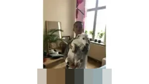 Syafriadi: “Negara Tak Berdaya Tanpa Konstitusi”, Menilik Hubungan Ideologi dan UUD 1945