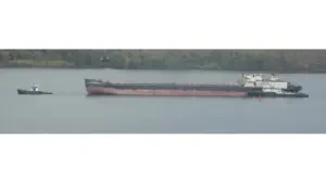 Taman Bendera Pusaka Jakarta Selatan Capai 77 Persen, Siap Diresmikan Bulan Depan dengan Skybridge Penghubung Taman Bendera Pusaka Jakarta Selatan Capai 77 Persen, Siap Diresmikan Bulan Depan dengan Skybridge Penghubung