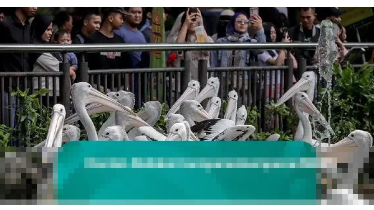 Taman Margasatwa Ragunan Diserbu Pengunjung, Lalu Lintas Padat di Libur Tahun Baru 2026