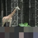 Taman Margasatwa Ragunan Umumkan 408.755 Pengunjung Selama Libur Nataru 2025/2026