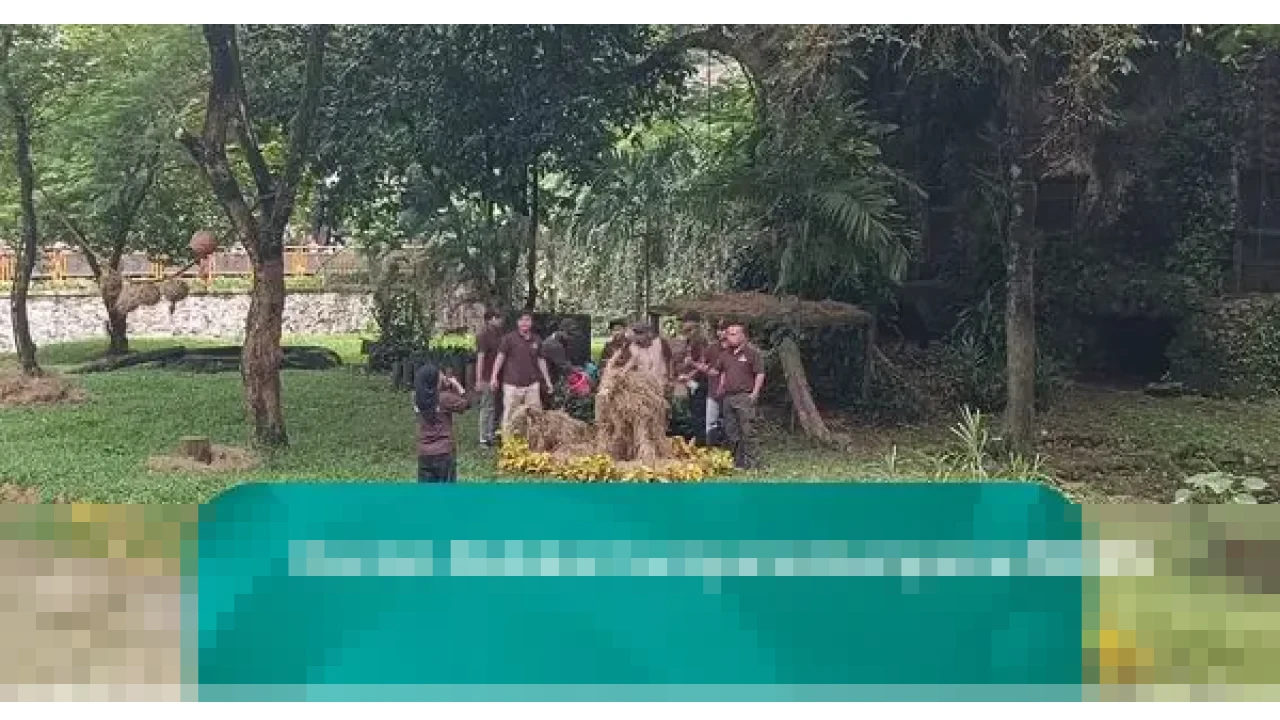 Tawa Anak-anak dan Roda Sepeda: Ragunan Jadi Saksi Perayaan Sederhana Keluarga Sambut Hari Pertama 2026 Tawa Anak-anak dan Roda Sepeda: Ragunan Jadi Saksi Perayaan Sederhana Keluarga Sambut Hari Pertama 2026