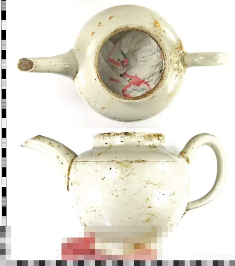 Tensi Tinggi Laga Man City vs Brighton, Guardiola dan Hurzeler Bersitegang di Pinggir Lapangan