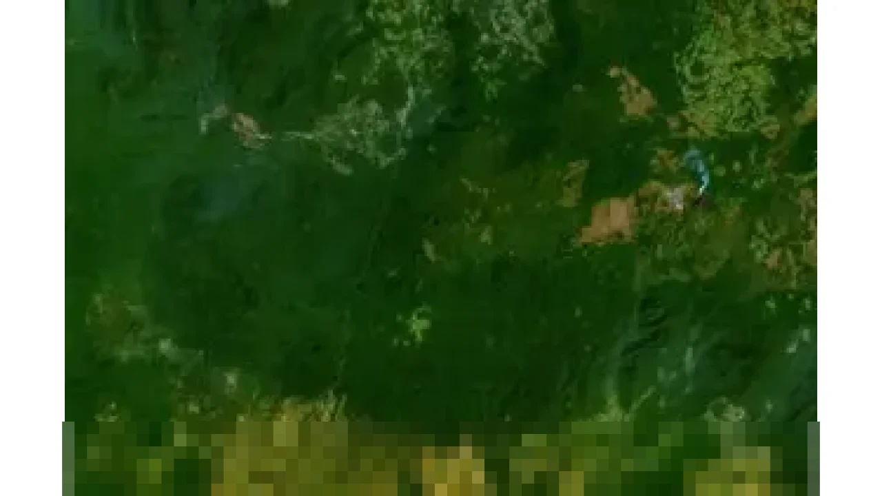 Tepis Ancaman Trump, Partai Politik Greenland Tegaskan: ‘Masa Depan Kami Ditentukan Sendiri’ Tepis Ancaman Trump, Partai Politik Greenland Tegaskan: ‘Masa Depan Kami Ditentukan Sendiri’