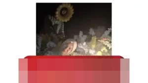 Terjebak Lingkaran Sempurna Media Sosial: Saat Algoritma Mendikte Standar Hidup Kita