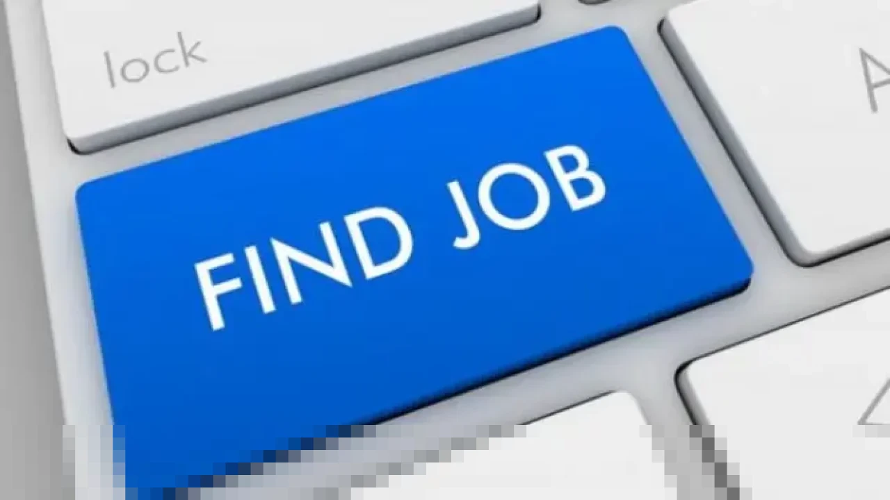 Terkena PHK atau Burnout? Ini 4 Strategi Jitu Temukan Karier Baru yang Benar-Benar Anda Cintai di 2026