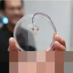 Terobosan Virginia Tech: Acoustic Tweezers, Teknologi Suara Revolusioner yang Mampu Manipulasi Objek Mikro Tanpa Sentuh