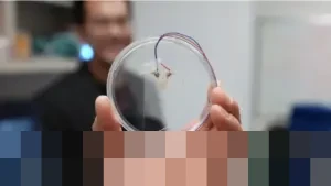 Terobosan Virginia Tech: Acoustic Tweezers, Teknologi Suara Revolusioner yang Mampu Manipulasi Objek Mikro Tanpa Sentuh