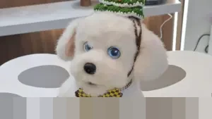 Terpikat di CES 2026: Robot Anjing Pintar Ecovacs LilMilo Bikin Jurnalis Terharu