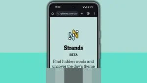 Terungkap! Kunci Jawaban NYT Strands Game #677 Jumat, 9 Januari 2026: Tema Beruang dan Spangram ‘BEARSINMIND’