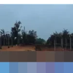 TGI Pastikan Api Pipa Gas di Indragiri Hilir Riau Padam, Prioritaskan Keamanan Warga dan Pemulihan Jaringan