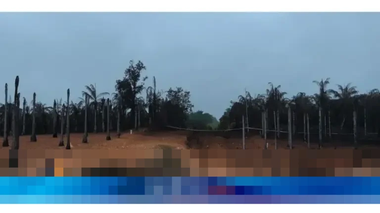 TGI Pastikan Api Pipa Gas di Indragiri Hilir Riau Padam, Prioritaskan Keamanan Warga dan Pemulihan Jaringan TGI Pastikan Api Pipa Gas di Indragiri Hilir Riau Padam, Prioritaskan Keamanan Warga dan Pemulihan Jaringan