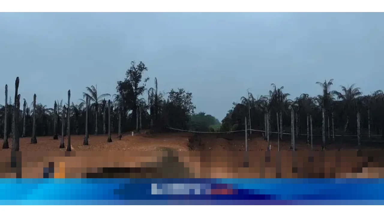 TGI Pastikan Api Pipa Gas di Indragiri Hilir Riau Padam, Prioritaskan Keamanan Warga dan Pemulihan Jaringan TGI Pastikan Api Pipa Gas di Indragiri Hilir Riau Padam, Prioritaskan Keamanan Warga dan Pemulihan Jaringan