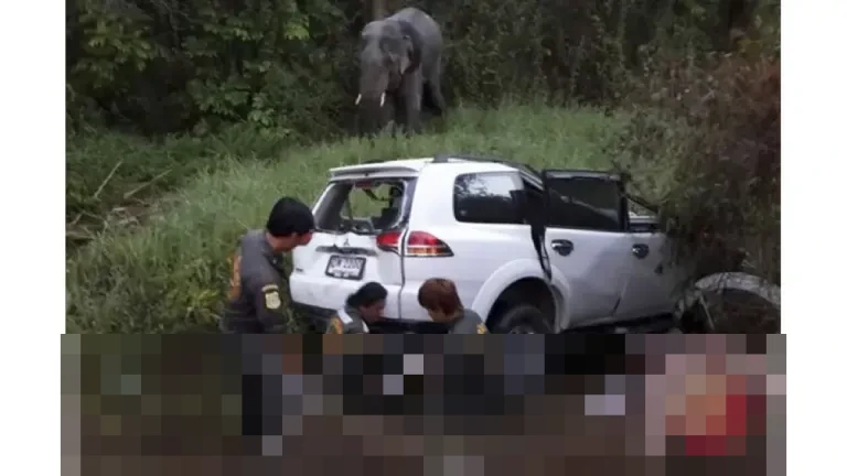 Thailand Dilanda Gelombang Kecelakaan Maut, Lebih dari 100 Orang Tewas di Awal Tahun Baru